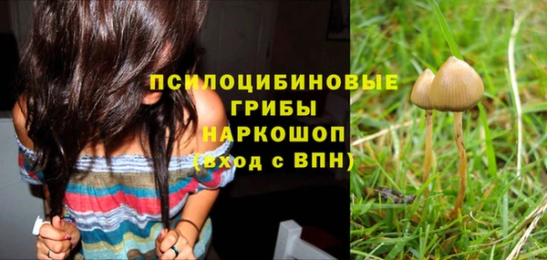 дурь Алзамай