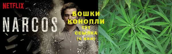 дурь Алзамай