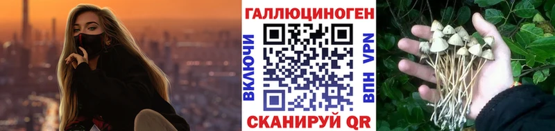 Псилоцибиновые грибы ЛСД  Большой Камень 