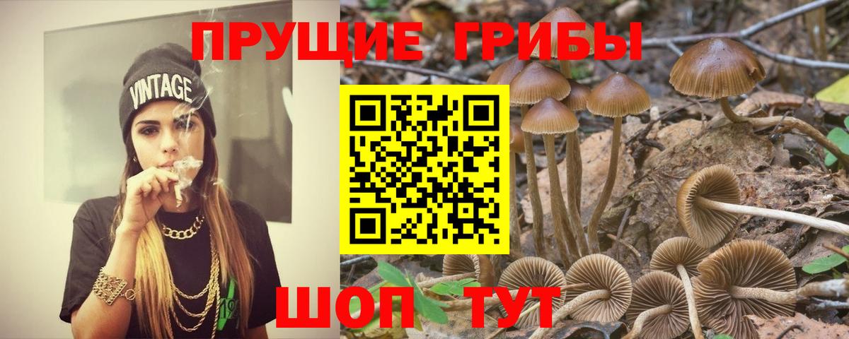 Большой Камень  Псилоцибиновые грибы мицелий  Галлюциногенные грибы Cubensis  магазин  наркотиков  Вход с VPN 